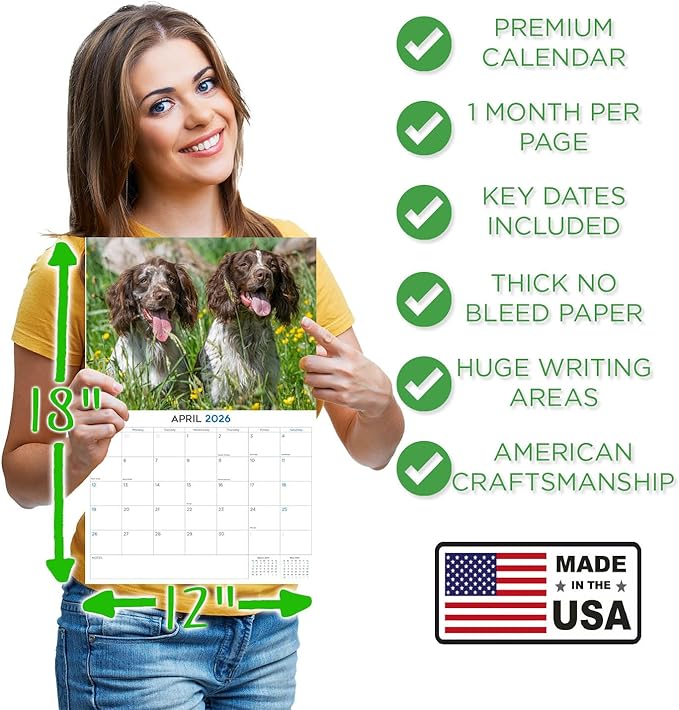 2025 2026 English Springer EU Calendar - Dog Breed Monthly Wall Calendar - 12" x 18" Open - Thick No-Bleed Paper - Giftable - Academic Teacher's Planner Calendar Organizing & Planning - Made in USA