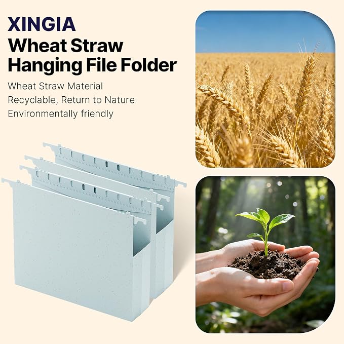XINGIA Plastic Hanging File Folders Letter Size, 2'' Expansion Hanging Folders with Adjustable Tab, 12 Pack Reinforced Hanging File Organizer, Stay Organized for Your Home and Office Bulk File