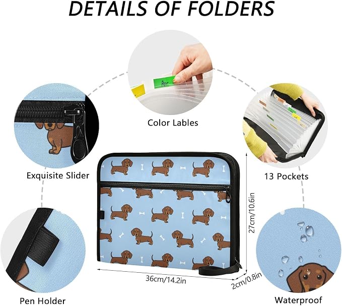 Dachshund Dog Cartoon File Folders,Plastic Folders with 13 Pockets,Expandable File Folder for Documents School Students Office,Aesthetic Folder with Labels A4 Letter Size