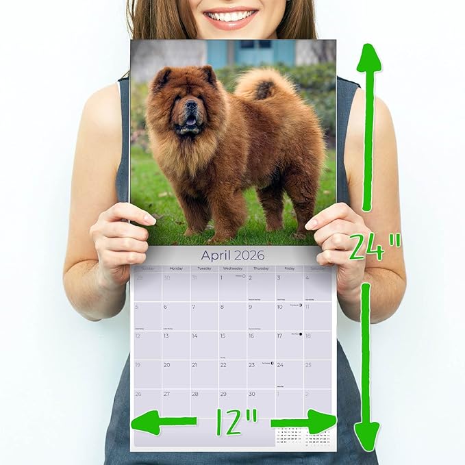 Chow Chow Calendar 2026 by MegaCalendars – Monthly Dog Breed Wall Calendar, Made in USA