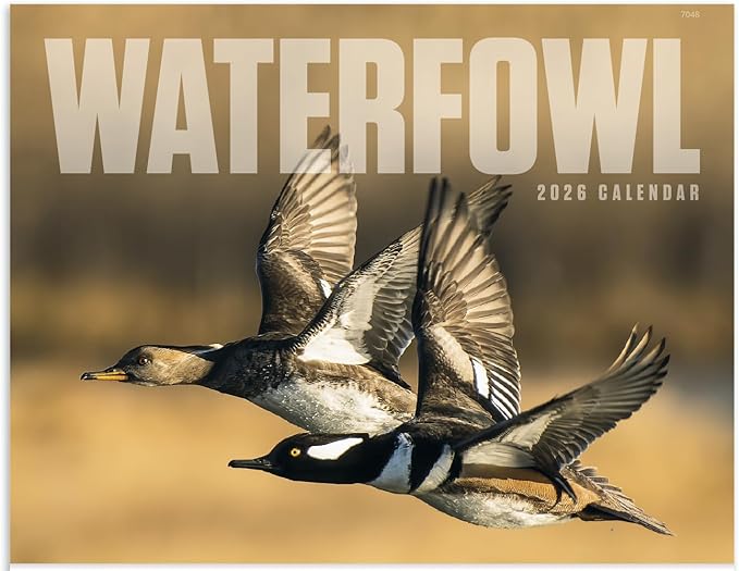 Waterfowl 2026 Hanging Wall Calendar - 19" x 11" (Open) 2026 Monthly Appointment Planner and Organizer. Beautiful pictures of ducks, geese, and other large aquatic birds.
