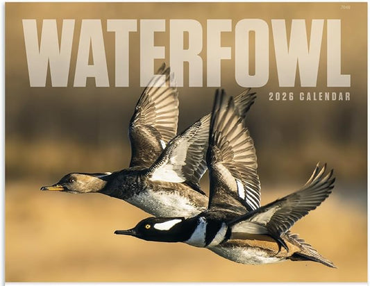 Waterfowl 2026 Hanging Wall Calendar - 19" x 11" (Open) 2026 Monthly Appointment Planner and Organizer. Beautiful pictures of ducks, geese, and other large aquatic birds.