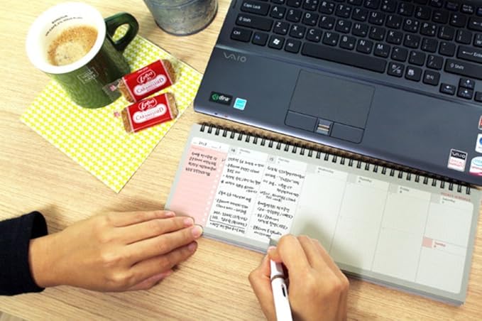 PAPERIAN Brilliant Weekly Scheduler - Wirebound Undated Weekly Planner Pad Scheduler (Gray)