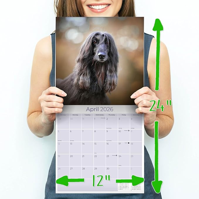 Afghan Hound Calendar 2026 - Monthly Dog Breed Wall Calendar, 12x24 Open, Thick No-Bleed Paper, Made in USA by MegaCalendars