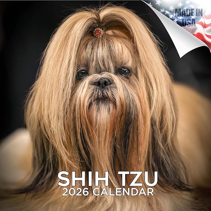 Shih Tzu Calendar 2026 by MegaCalendars – Monthly Dog Breed Wall Calendar, Made in USA