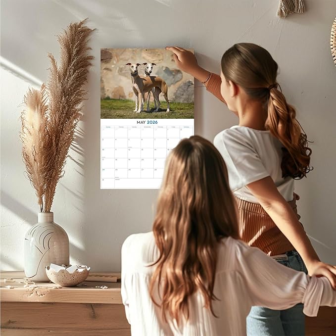 2025 2026 Whippet Calendar - Dog Breed Monthly Wall Calendar - 12" x 18" Open - Thick No-Bleed Paper - Giftable - Academic Teacher's Planner Calendar Organizing & Planning - Made in USA