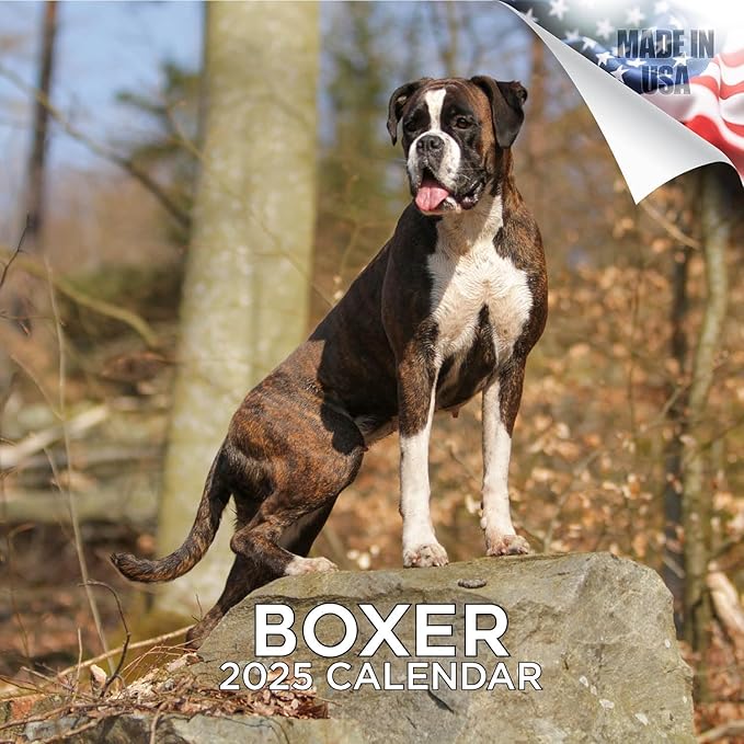 Boxer Calendar 2026 by MegaCalendars – Monthly Dog Breed Wall Calendar, Made in USA