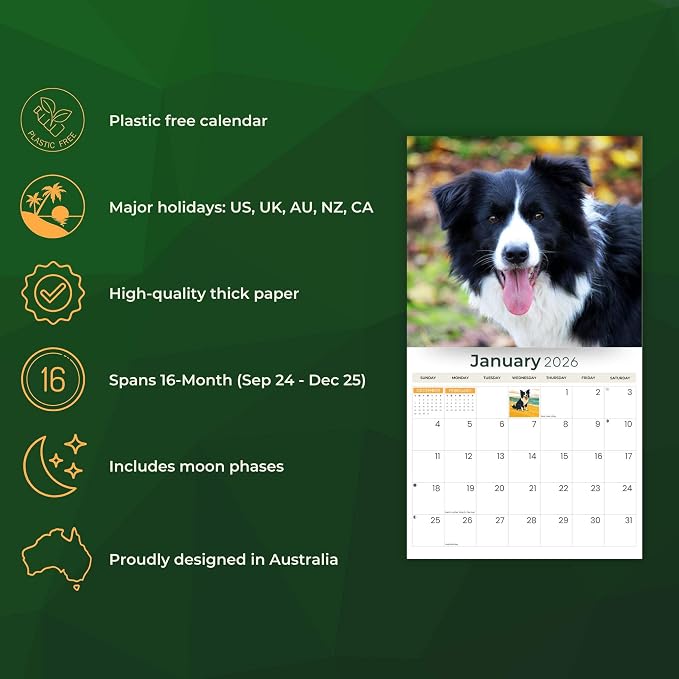 2026 Border Collies Dog Deluxe Wall Calendar | 16-Month Monthly Planner | Eco-Friendly Plastic-Free Organizer | Large 12" x 13.3" Home & Office Calendar with Holidays & Cute Border Collie Photos