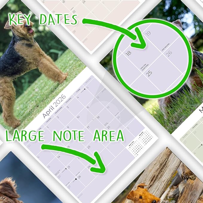 Airedale Calendar 2026 by MegaCalendars – Monthly Dog Breed Wall Calendar, Made in USA