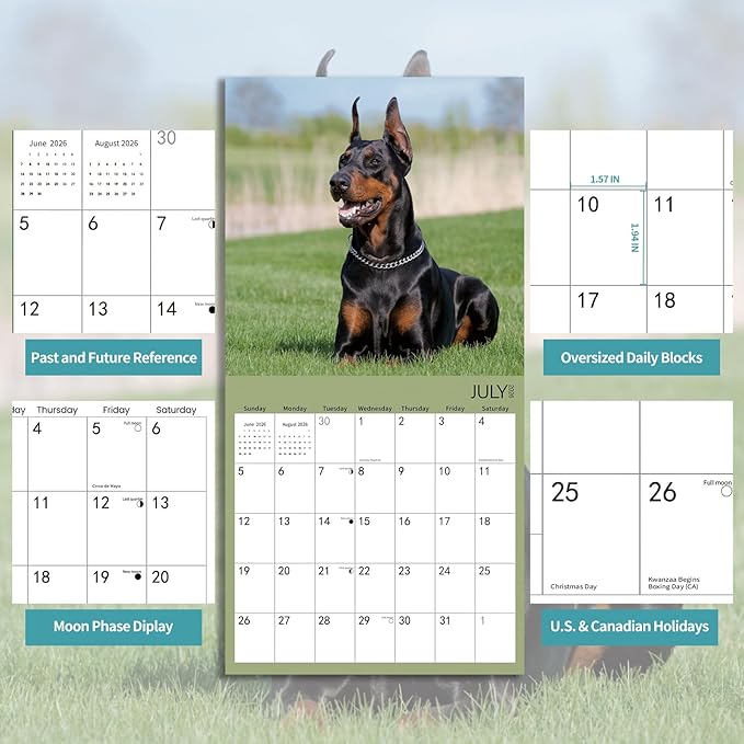2025-2026 Wall Calendar,Doberman Wall Calendar, 12" x 24" Open,Family Planner Calendar Organizer with Doberman Images, for Dogs Lovers