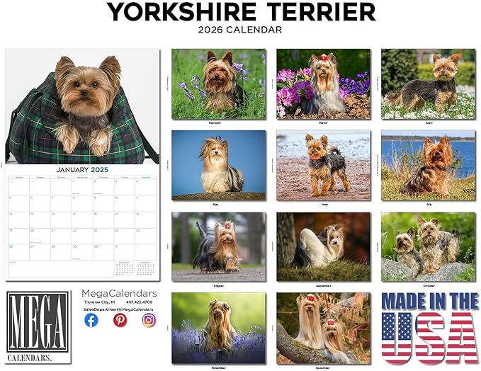 2025 2026 Yorkshire Terrier Calendar - Dog Breed Monthly Wall Calendar - 12" x 18" Open - Thick No-Bleed Paper - Giftable - Academic Teacher's Planner Calendar Organizing & Planning - Made in USA
