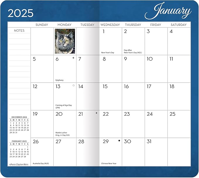LANG Love Of Cats 2025 Two Year Planner (25991071074)