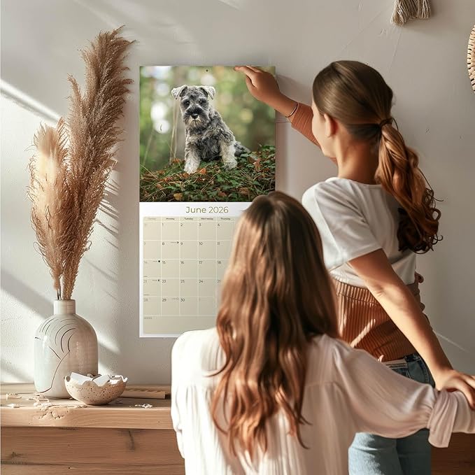 Miniature Schnauzer Calendar 2026 by MegaCalendars – Monthly Dog Breed Wall Calendar, Made in USA
