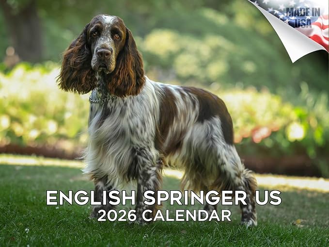 2025 2026 English Springer US Calendar - Dog Breed Monthly Wall Calendar - 12" x 18" Open - Thick No-Bleed Paper - Giftable - Academic Teacher's Planner Calendar Organizing & Planning - Made in USA