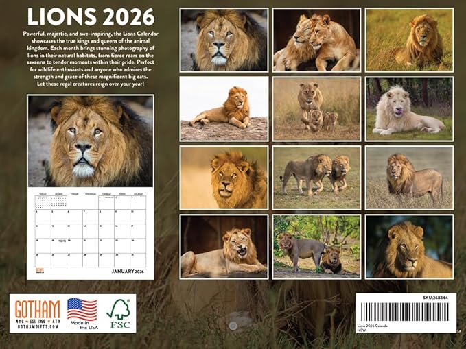 Lion Calendar 2026 Lions Monthly Wall Calender 12 Month | American Made In The USA