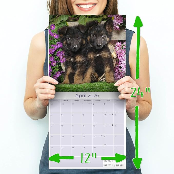 German Shepherd Pups Calendar 2026 by MegaCalendars – Monthly Dog Breed Wall Calendar, Made in USA