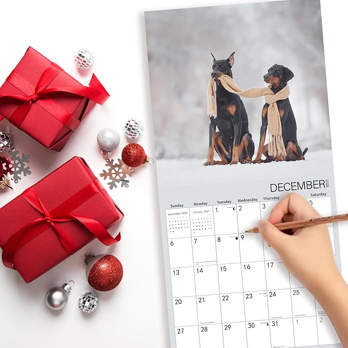 2025-2026 Wall Calendar,Doberman Wall Calendar, 12" x 24" Open,Family Planner Calendar Organizer with Doberman Images, for Dogs Lovers