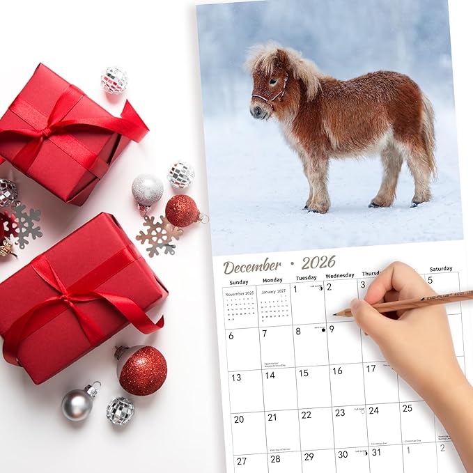 2026 Wall Calendar,Calendar 2026,Shetland Pony Cattle Monthly Wall Calendar, 12" x 24" Open,Family Planner Calendar, Home & Office Organizer,Hangable