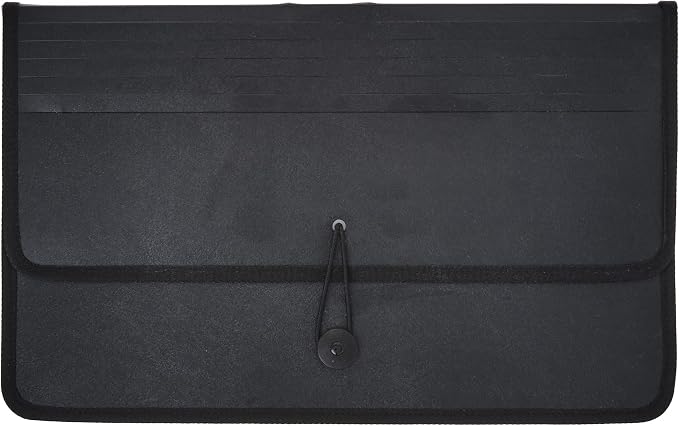 Lion Expand-N-File Poly Expanding Wallet, Legal (9-1/2 x 15 Inches), 2-1/2 Inches Gusset, Black, 1 Wallet (48150-BK)