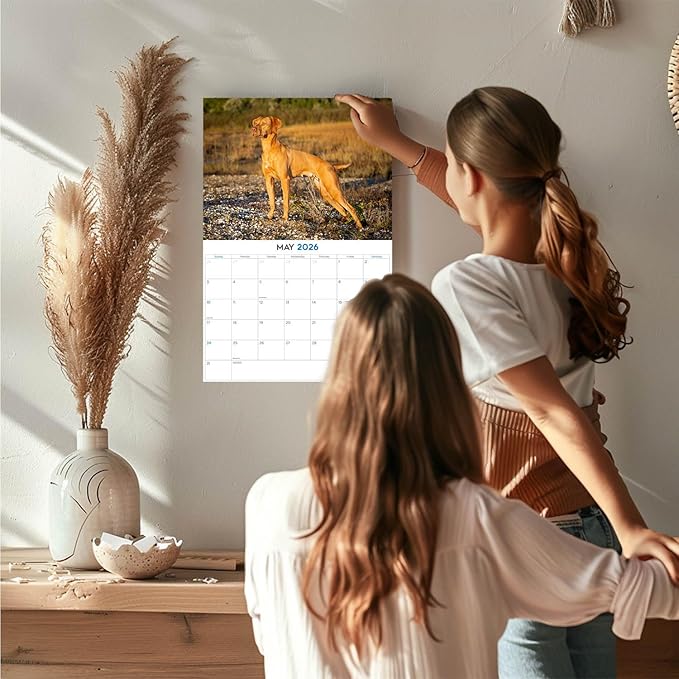 2025 2026 Vizsla Calendar - Dog Breed Monthly Wall Calendar - 12" x 18" Open - Thick No-Bleed Paper - Giftable - Academic Teacher's Planner Calendar Organizing & Planning - Made in USA