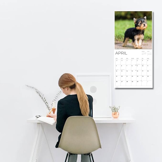 Yorkshire Puppy 2026 Wall Calendar | 12" x 24" Open | Dog Calendar Photography Thick & Sturdy Paper for Planning | Office Kitchen Decor or Gift | Pacific Waters Press (Yorkshire Terrier Puppies)