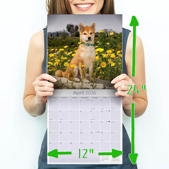 Shiba Inu Calendar 2026 by MegaCalendars – Monthly Dog Breed Wall Calendar, Made in USA