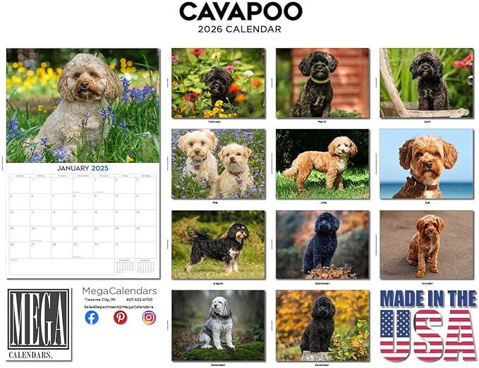 2025 2026 Cavapoo Calendar - Dog Breed Monthly Wall Calendar - 12" x 18" Open - Thick No-Bleed Paper - Giftable - Academic Teacher's Planner Calendar Organizing & Planning - Made in USA