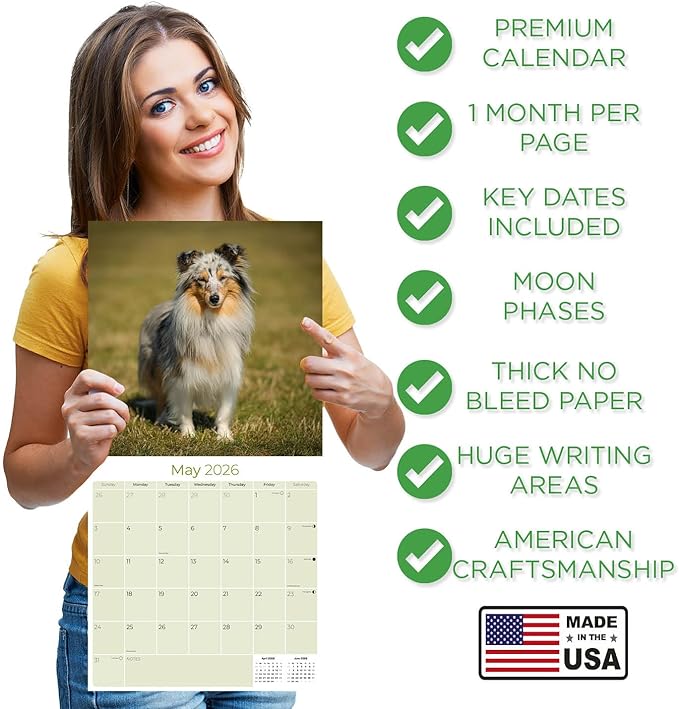 Shetland Sheepdog Calendar 2026 by MegaCalendars – Monthly Dog Breed Wall Calendar, Made in USA
