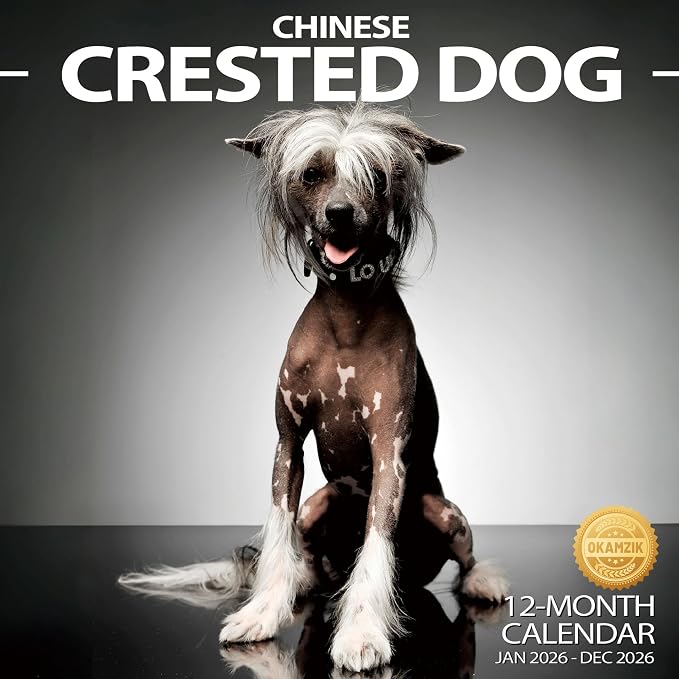 Wall Calendar 2026 Planner Calendar - Chinese Crested Dog Hangable Monthly Wall Calendar with Large Blocks for Organizing & Planning, Academic Schedule, Home, Office & family, Thick & Sturdy Paper (12"x24" Open)