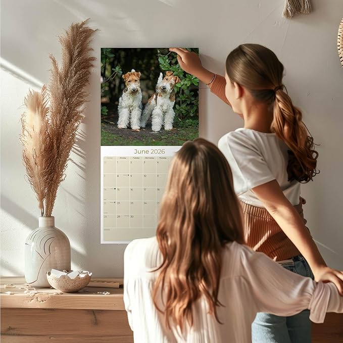 Fox Terrier Wirehaired Calendar 2026 by MegaCalendars – Monthly Dog Breed Wall Calendar, Made in USA