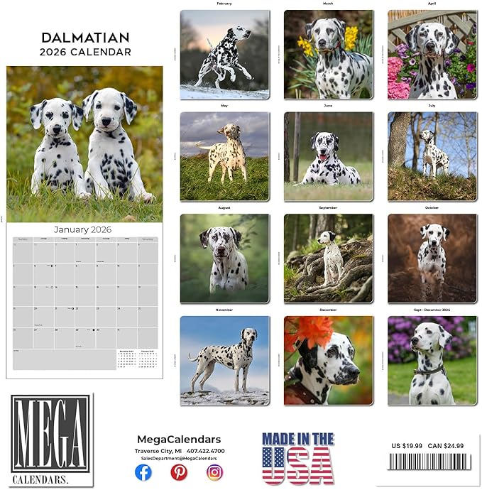 Dalmatian Calendar 2026 by MegaCalendars – Monthly Dog Breed Wall Calendar, Made in USA