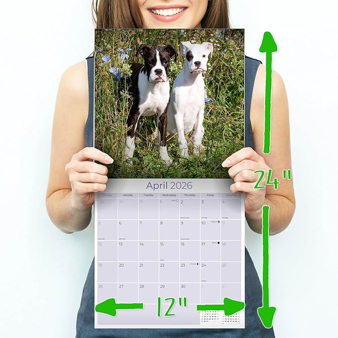 Boxer Puppies Calendar 2026 – 16-Month Dog Breed Wall Calendar by MegaCalendars – Large Daily Blocks, Thick No-Bleed Paper, Made in USA