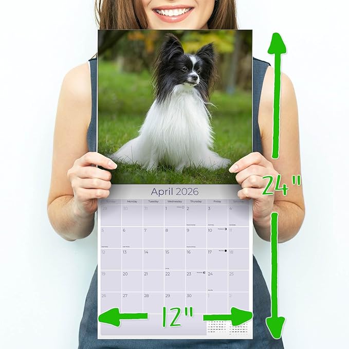 Papillon Calendar 2026 by MegaCalendars – Monthly Dog Breed Wall Calendar, Made in USA