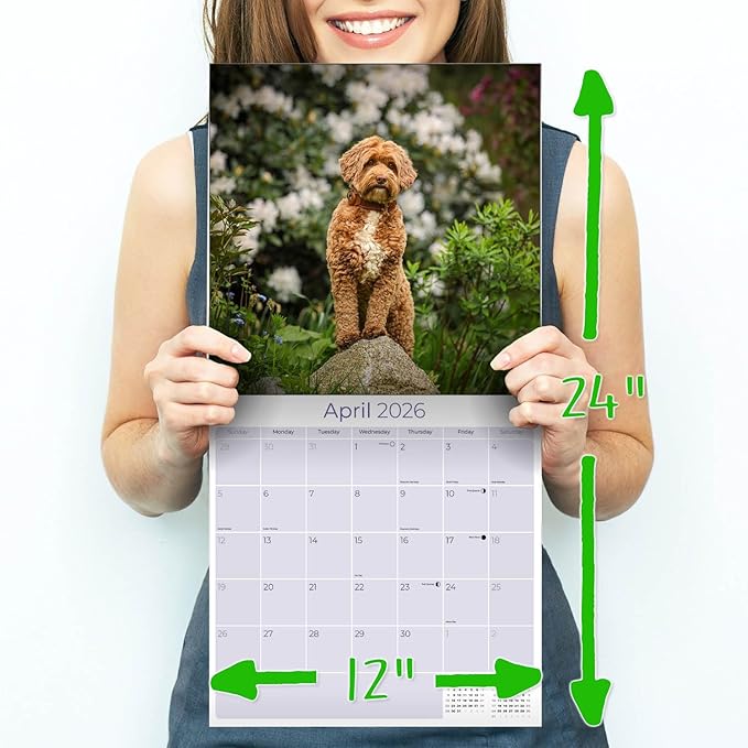 Labradoodle Calendar 2026 by MegaCalendars – Monthly Dog Breed Wall Calendar, Made in USA