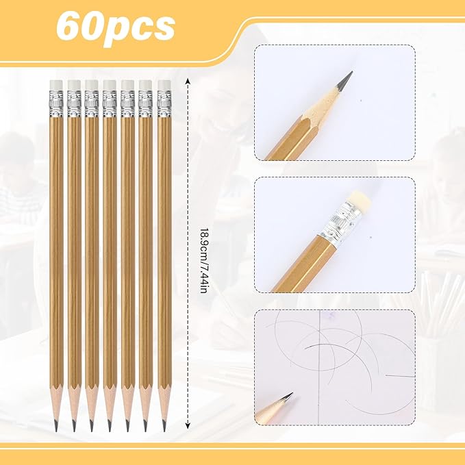 TecUnite 60 Pcs HB Pencils #2 Unsharpened Wood Cased Pencils with Eraser Pencil Cute Graphite No 2 Pen for Adults Gifts Exam School Office Sketching Learning (Gold Color, Silver)