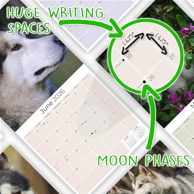 Alaskan Malamute Calendar 2026 by MegaCalendars – Monthly Dog Breed Wall Calendar, Made in USA