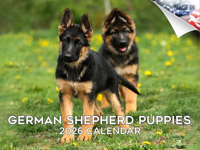 2025 2026 German Shepherd Pups Calendar - Dog Breed Monthly Wall Calendar - 12" x 18" Open - Thick No-Bleed Paper - Giftable - Academic Teacher's Planner Calendar Organizing & Planning - Made in USA