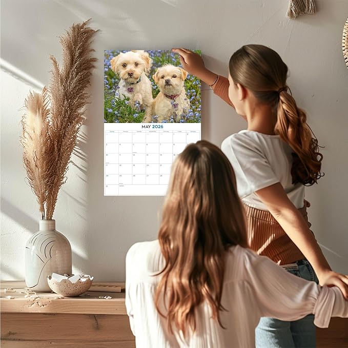 2025 2026 Cavapoo Calendar - Dog Breed Monthly Wall Calendar - 12" x 18" Open - Thick No-Bleed Paper - Giftable - Academic Teacher's Planner Calendar Organizing & Planning - Made in USA