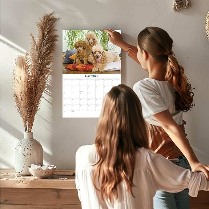 2025 2026 Poodle Toy and Miniature Calendar - Dog Breed Monthly Wall Calendar - 12" x 18" Open - Thick No-Bleed Paper - Giftable - Academic Teacher's Planner Calendar Organizing & Planning - Made in USA