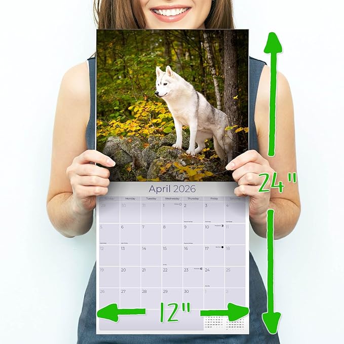 Siberian Husky Calendar 2026 – 16-Month Dog Breed Wall Calendar by MegaCalendars – Large Daily Blocks, Thick No-Bleed Paper, Made in USA