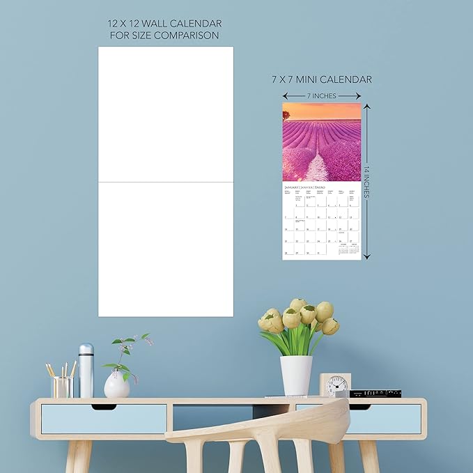 Graphique 2024 Provence Mini Wall Calendar | 7” x 7” | Thick Paper | Home & Office Organizer | Large Monthly Grid | 3 Languages & Marked Holidays | 4 Month Preview Page for 2025
