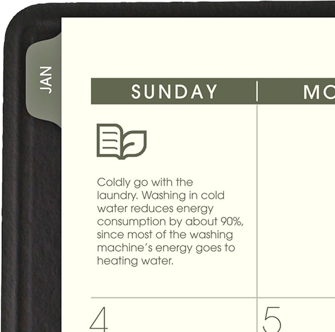 AT-A-GLANCE 2026 Appointment Book Planner, Weekly & Monthly, 7" x 8-3/4", Medium, Quarter-Hourly, Recycled, Black (70951G0526)