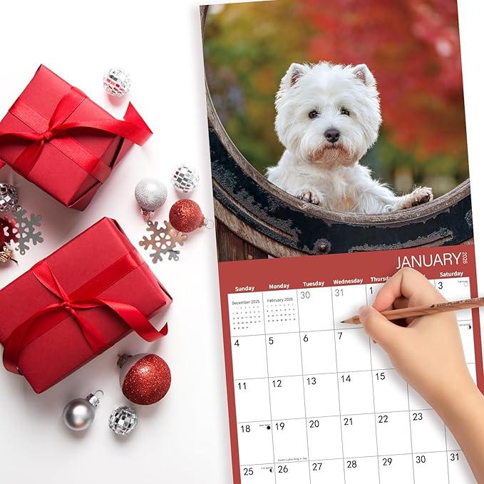 2026 Wall Calendar,West highland terrier Wall Calendar, 12" x 24" Open,Family Planner Calendar Organizer with West highland terrier Images, for Dogs Lovers