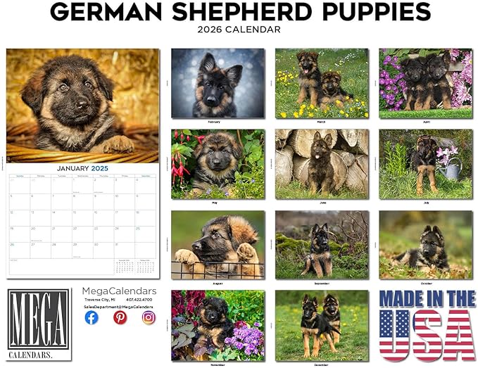 2025 2026 German Shepherd Pups Calendar - Dog Breed Monthly Wall Calendar - 12" x 18" Open - Thick No-Bleed Paper - Giftable - Academic Teacher's Planner Calendar Organizing & Planning - Made in USA