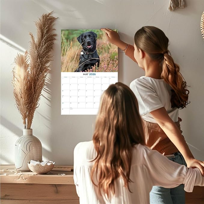 2025 2026 Labrador Black Calendar - Dog Breed Monthly Wall Calendar - 12" x 18" Open - Thick No-Bleed Paper - Giftable - Academic Teacher's Planner Calendar Organizing & Planning - Made in USA