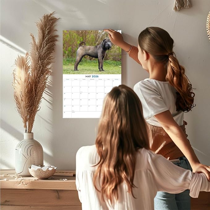 2025 2026 Shar Pei Calendar - Dog Breed Monthly Wall Planner - 12" x 18" Open - Thick No-Bleed Paper - Giftable - Academic Teacher's Organizing & Planning