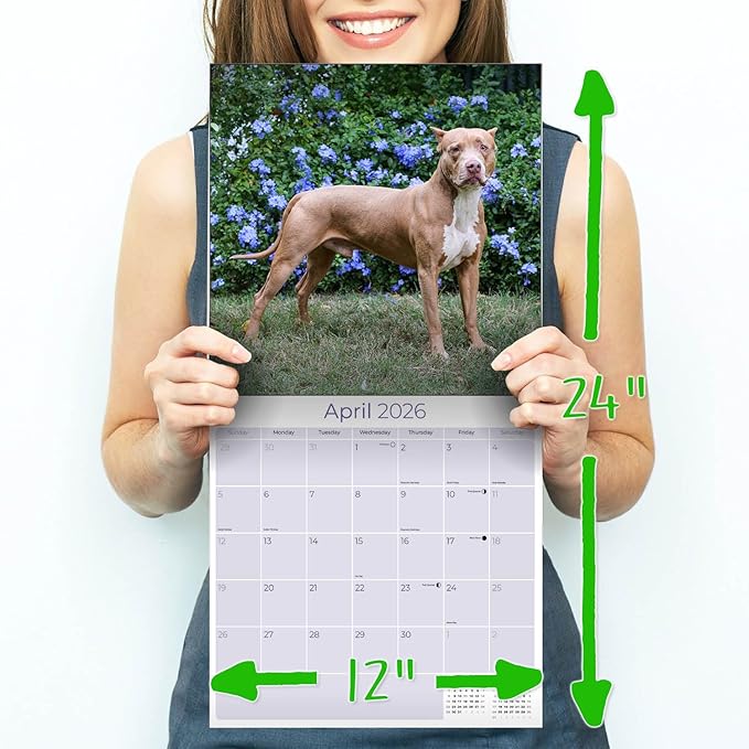 American Pit Bull Terrier Calendar 2026 by MegaCalendars – Monthly Dog Breed Wall Calendar, Made in USA