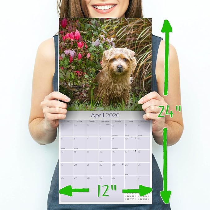2025 2026 Norfolk/Norwich Calendar - Dog Breed Monthly Wall Calendar - 12" x 24" Open - Thick No-Bleed Paper - Giftable - Academic Teacher's Planner Calendar Organizing & Planning - Made in USA