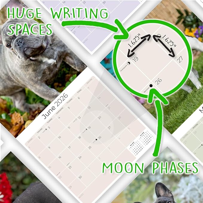 French Bulldog Calendar 2026 – 16-Month Dog Breed Wall Calendar by MegaCalendars – Large Daily Blocks, Thick No-Bleed Paper, Made in USA