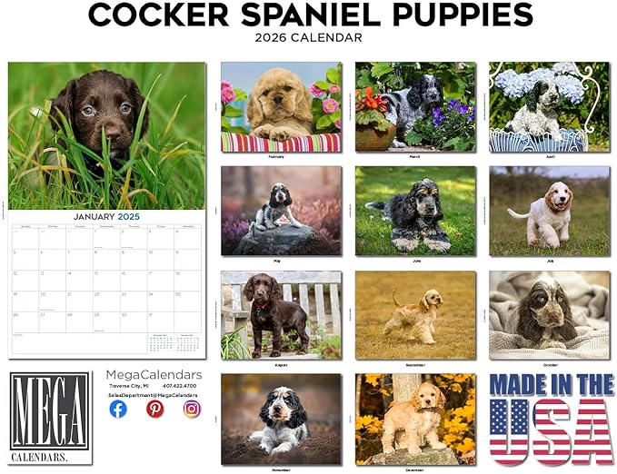 2025 2026 Cocker Spaniel Pups Calendar - Dog Breed Monthly Wall Calendar - 12" x 18" Open - Thick No-Bleed Paper - Giftable - Academic Teacher's Planner Calendar Organizing & Planning - Made in USA